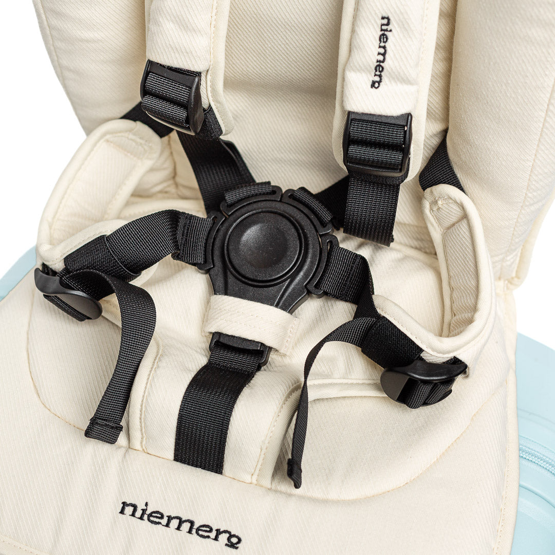 Toddler Travel Seat Cabin Luggage